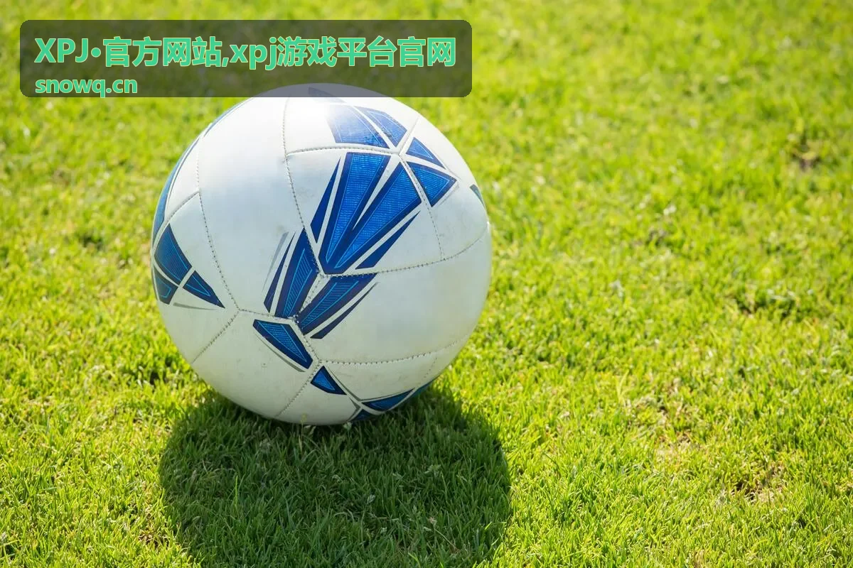 XPJ·官方网站常见问题解答封面